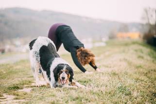 Ein Bild, das draußen, Gras, Hund, Hunderasse enthält.

Automatisch generierte Beschreibung