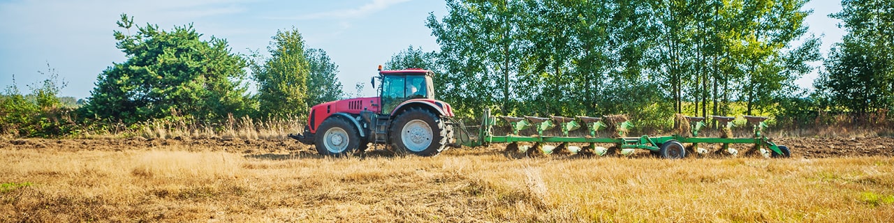 Landwirtschaft