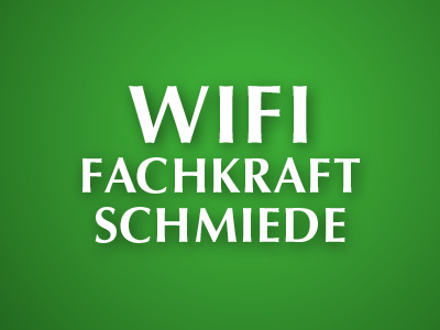 WIFI OÖ Fachkraftschmiede Blog