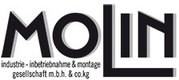 Molin Logo