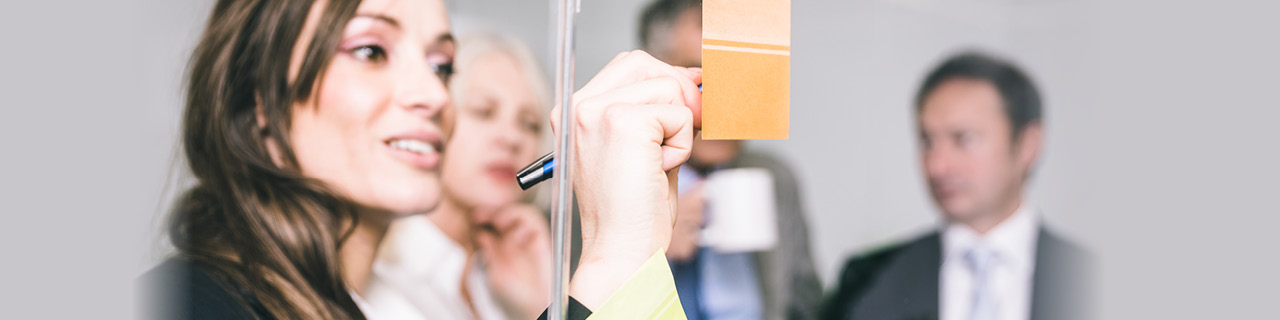 Trainer in der Erwachsenenbildung