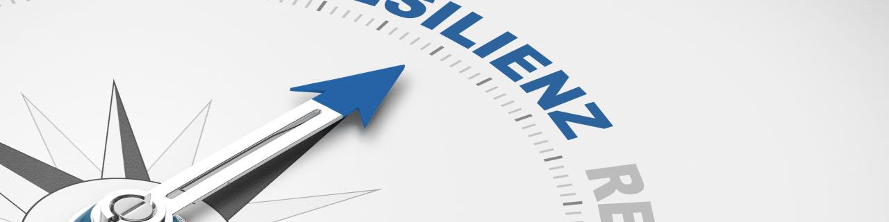 Auftanken - Resilienz im Office & Team achtsam entwickeln