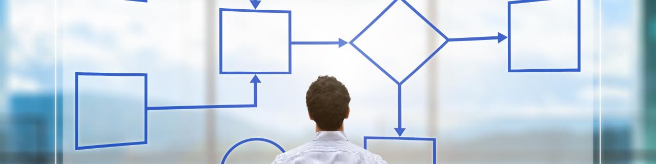 Interne Kontroll-Systeme (IKS) in der Anwendung