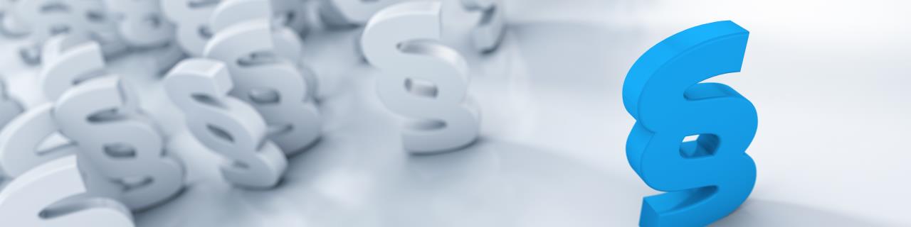 Rechtssichere Unternehmenskommunikation in Marketing, Medien und Social Media