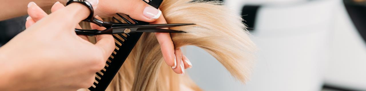 Erste Schritte im Friseur-Assistenzbereich - Level 1