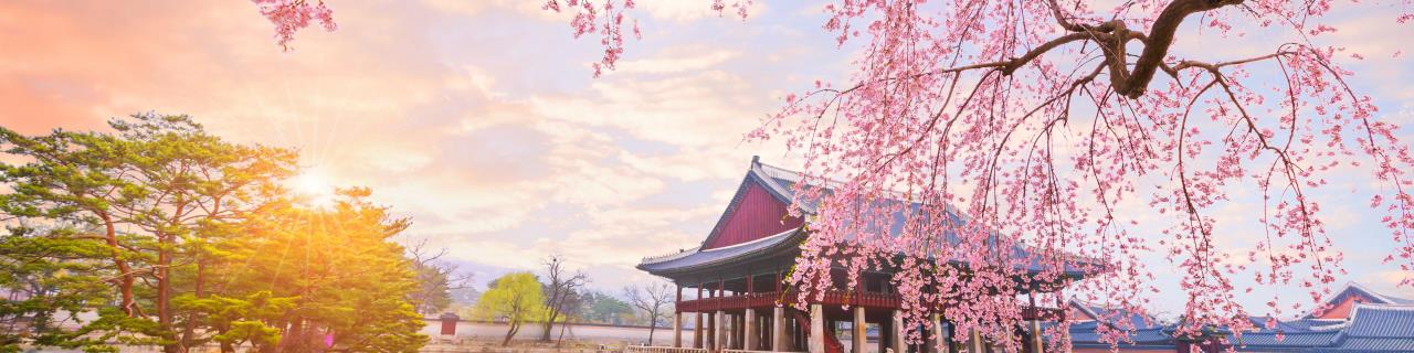 Japanisch A1 - Japanisch, Teil 2