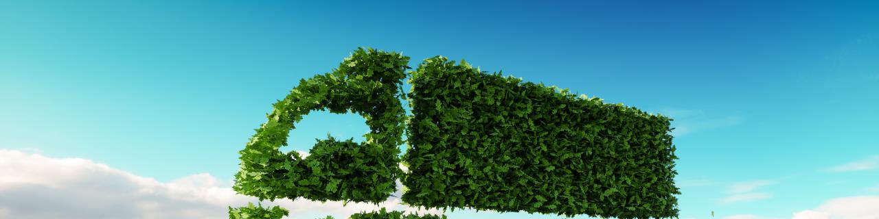 Green Logistics - Nachhaltigkeit in der Supply Chain