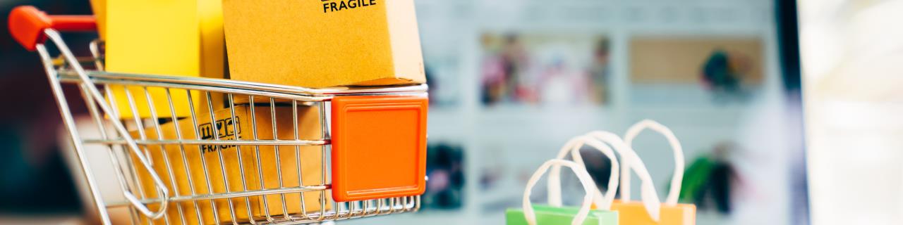 Online-Seminar: OnlineShop gestartet – und jetzt? So machen Sie aus Klicks Kunden