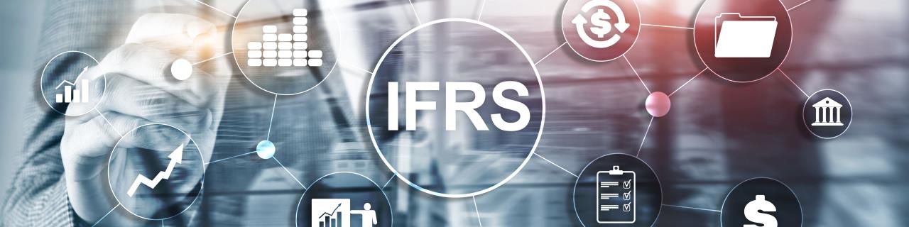 IFRS - Grundlagen mit zahlreichen Praxisbeispielen