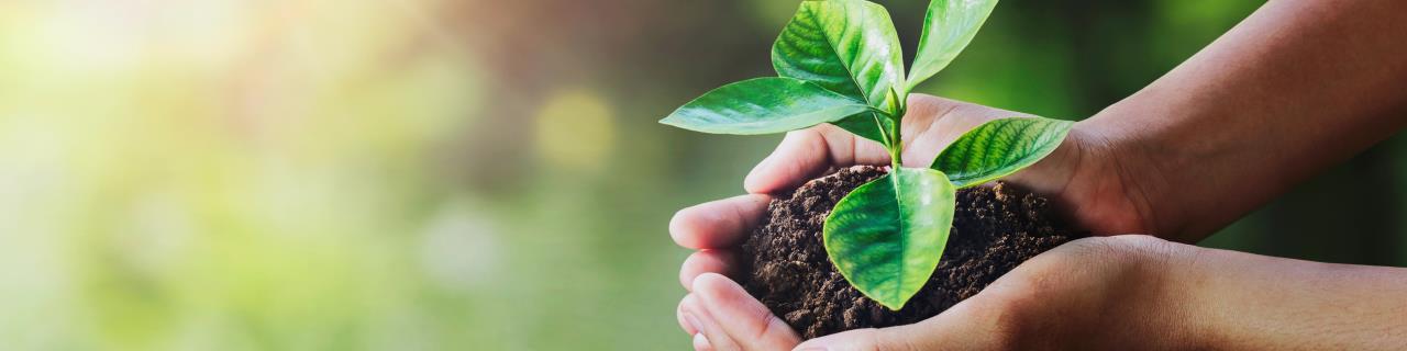 Kleine Gärten ganz groß! Gärtnern ohne Garten!