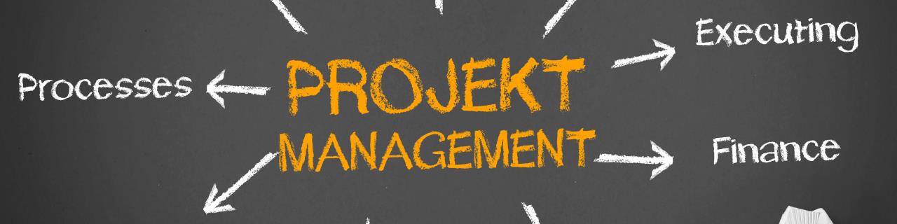 Multiprojektmanagement – Projektmanagement Office