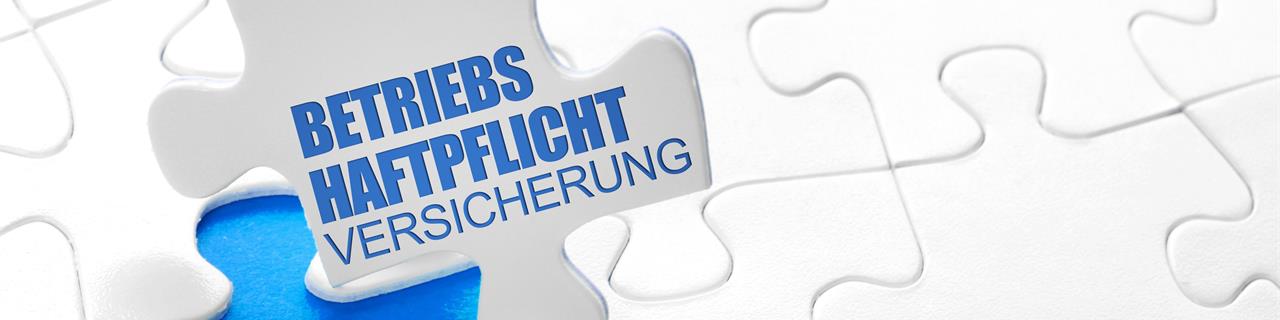 Vermögensschadenhaftpflicht und D&O-Versicherung