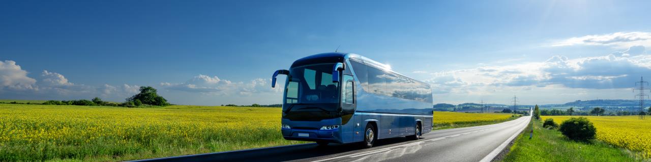 BUS - Personenbeförderung - Sachgebiete 1g, 1h, 2c, 3h (Modul 6)