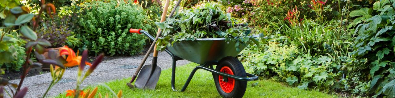 Garten- und Grünflächengestaltung - Landschaftsgärtnerei