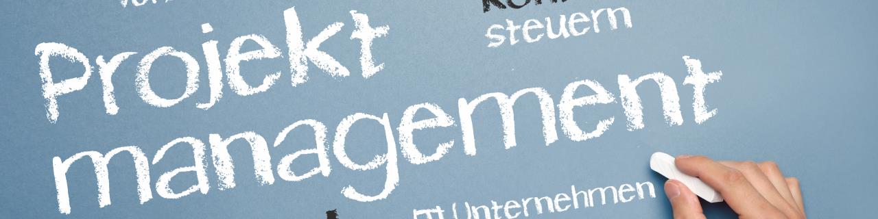 Projektmanagement kompakt