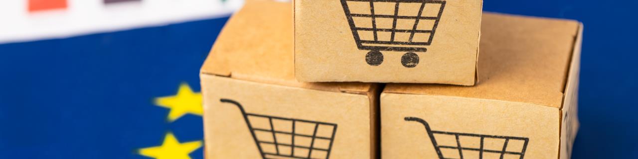 Online-Seminar: EU-Lieferkettengesetz – alles, was Sie jetzt wissen müssen!