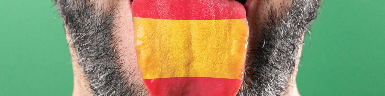 eLearning Spanisch - Speexx Expert für Bildungskarenz