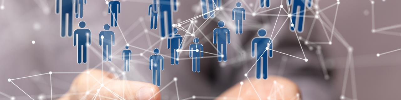 Vielfalt meistern - erfolgreich führen im interkulturellen Kontext