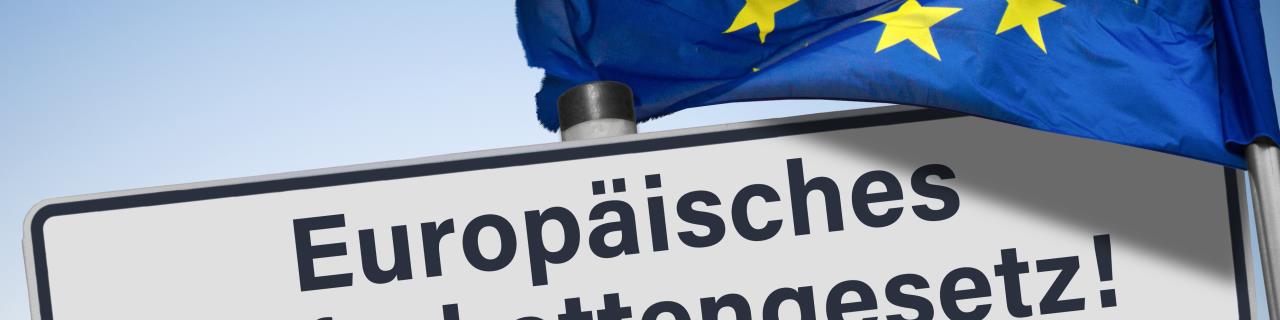 Einführung in das Lieferkettengesetz nach EU-Richtlinie 2024/1760 und das deutschen LkSG