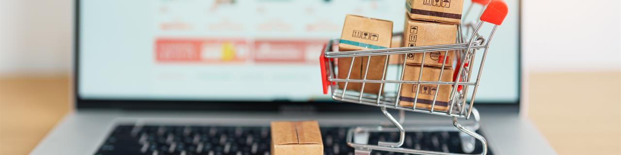 Online-Seminar: So steigern Sie Ihre Online-Shop Umsätze!