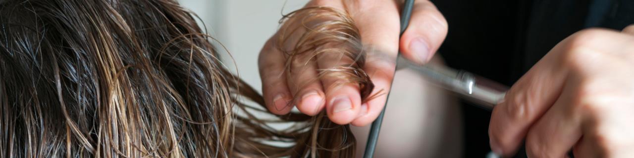 Vorbereitungskurs auf die außerordentliche Lehrabschlussprüfung Friseure