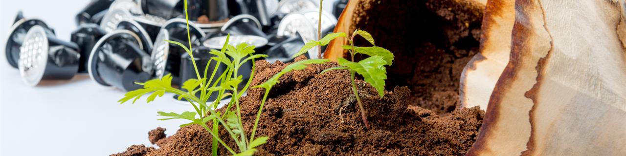 Nachhaltigkeit und ESG beim Herstellen und Verpacken von Lebensmitteln - Grundlagen