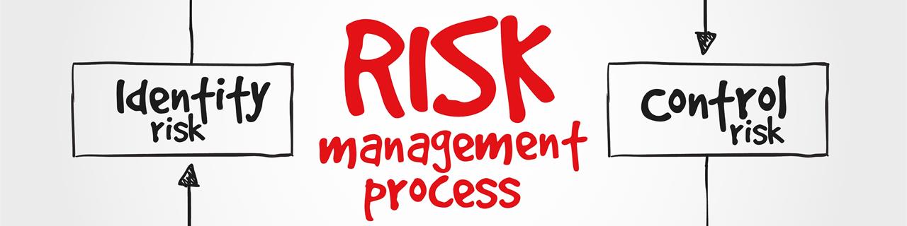 Prozessrisiken managen