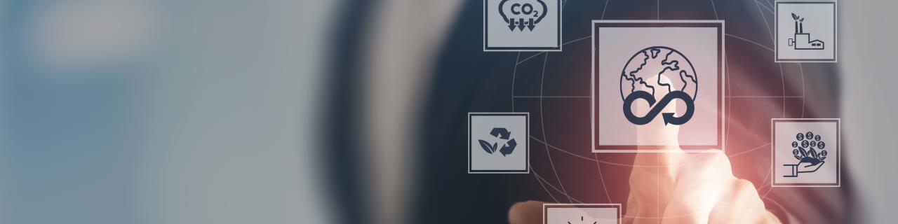 Online-Seminar: EU-Entwaldungsverordnung in der Praxis