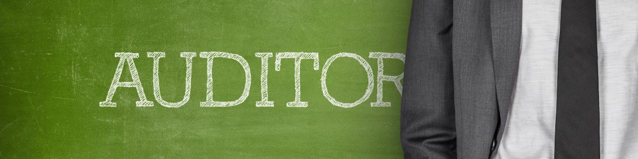 Ausbildung externe:r Auditor:in